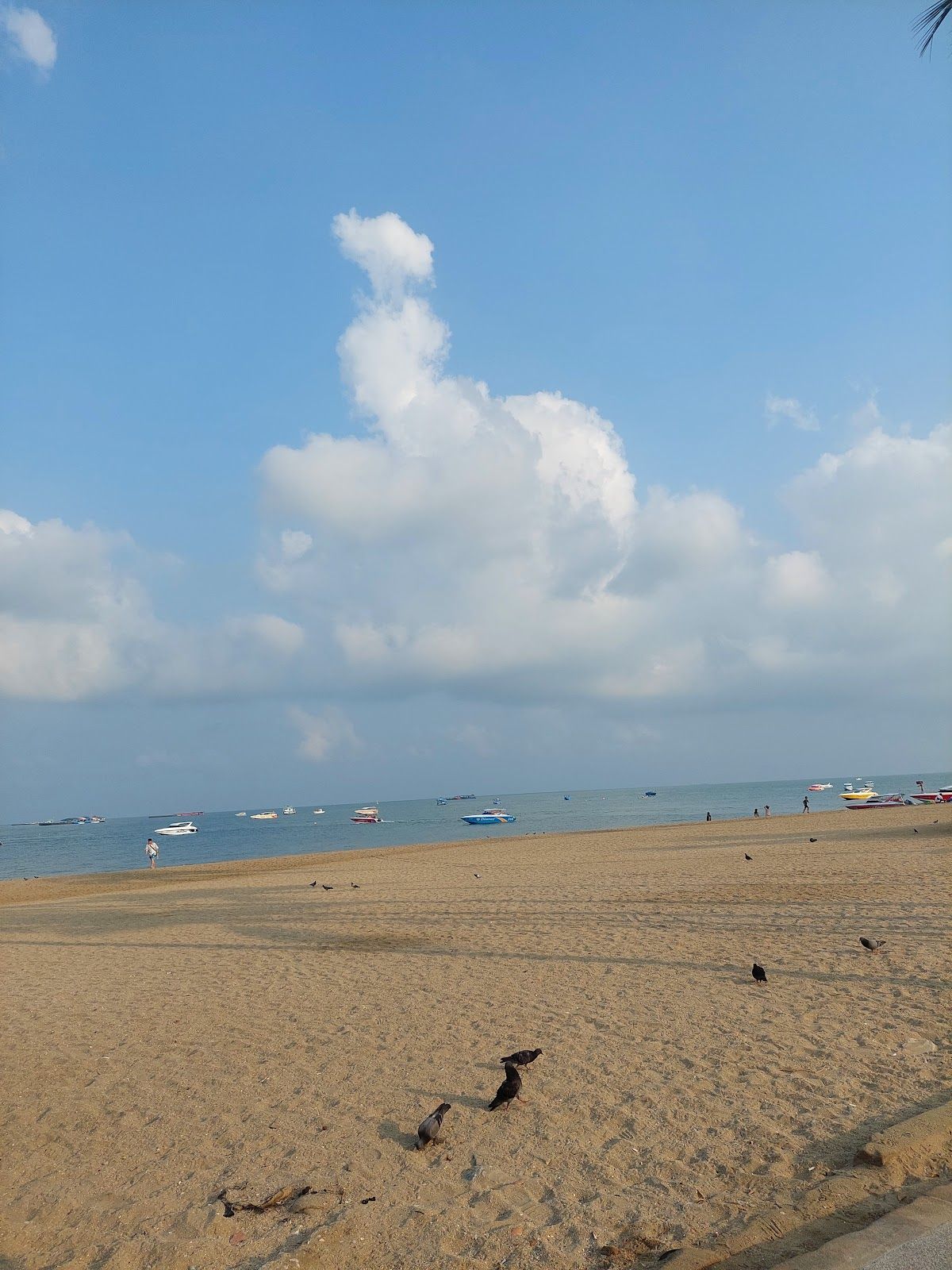 Pattaya Beach photo 4